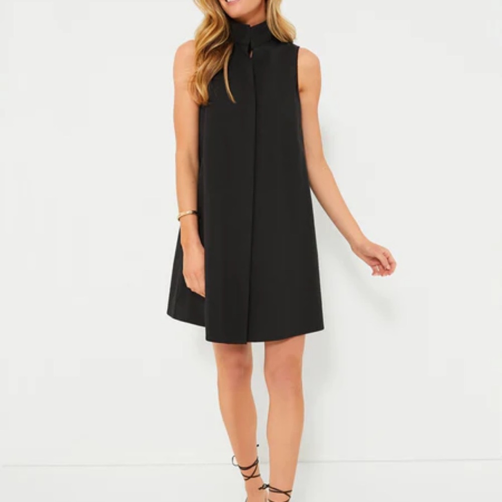 Tuckernuck Black Mini Dress